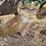 john-deere-pull-type-three-bottom-plow-image-15