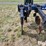blu-jet-sub-tiller-4-image-17
