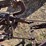 john-deere-pull-type-no.-44-two-bottom-plow-image-14