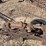 john-deere-pull-type-no.-44-two-bottom-plow-image-11