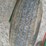 bestway-500-image-39