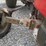 1978-massey-ferguson-210-image-38