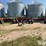 case-ih-sdx40-image-2