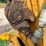 2007-john-deere-110-image-57