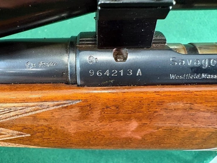 savage-anschutz-22lr-rifle-image-16