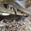 2019-caterpillar-320-image-71