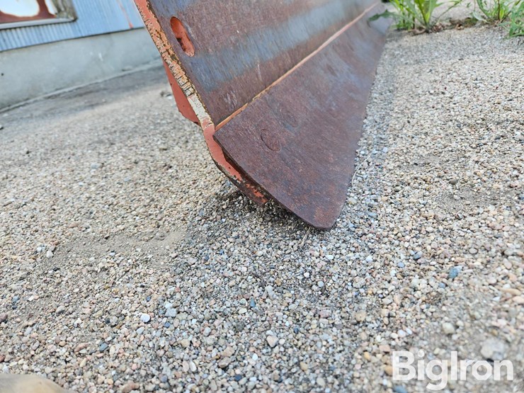 rhino-1540-image-19