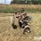 international-412-image-6