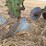 john-deere-pull-type-four-bottom-plow-image-18
