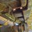 caterpillar-d5-image-75