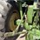 1966-john-deere-4020-image-20