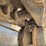 1969-caterpillar-d6c-image-71