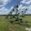 wheel-rake-image-3