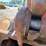 2010-caterpillar-328d-image-146