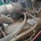 1999-kenworth-w900-image-26