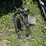 2-wheel-horse-cart-w/harness-&-brakes-image-5