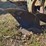john-deere-three-point-two-bottom-plow-image-10