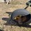 john-deere-three-point-three-bottom-plow-image-16