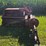 international-46-image-2