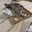 clasps-image-9