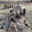 john-deere-pull-type-three-bottom-plow-image-4