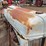 ford-9n-image-12