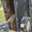 barko-595b-image-116