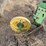john-deere-three-point-three-bottom-plow-image-12