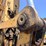 2010-caterpillar-328d-image-129