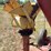 new-holland-352-image-20