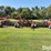 case-ih-sdx40-image-6
