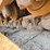 2010-caterpillar-328d-image-91