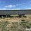 1981-wilson-grain-trailer-image-4