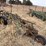 john-deere-pull-type-four-bottom-plow-image-6