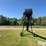 batco-1335td-image-6