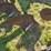 john-deere-5-image-13