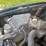 1998-toyota-tacoma-image-23