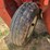 hesston-1110-image-23