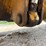 2000-deere-710d-image-54