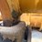 1997-caterpillar-953c-image-110