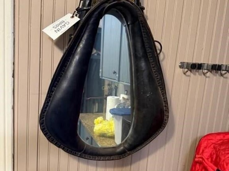 horse-collar-mirror-image-2