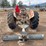 ford-9n-image-4