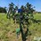 john-deere-980-image-2