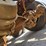 2002-mack-rd688s-image-67