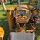 ford-515-image-31