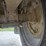 1998-toyota-tacoma-image-76