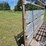 portable-livestock-loading-chute-image-17