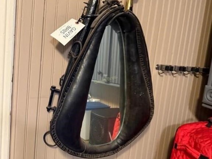 horse-collar-mirror-image-1