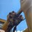 1980-caterpillar-988b-image-64