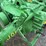 john-deere-model-a-image-22